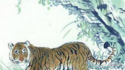 双语解汉字:   Chinese Characters 21-tiger（虎） 